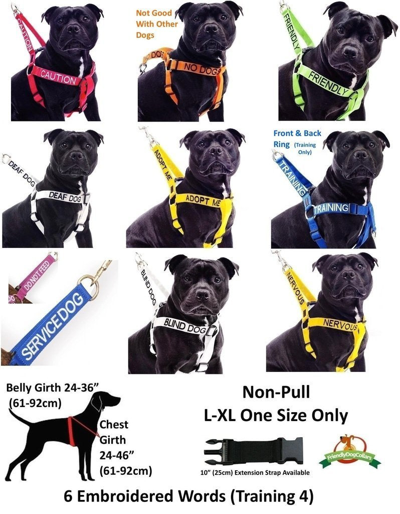[Australia] - Dexil Limited Service Dog Blue Color Coded S-M L-XL Buckle Dog Collar (Do Not Disturb) Prevents Accidents by Warning Others of Your Dog in Advance L-XL Collar, 15-25"Lx1.25"W 