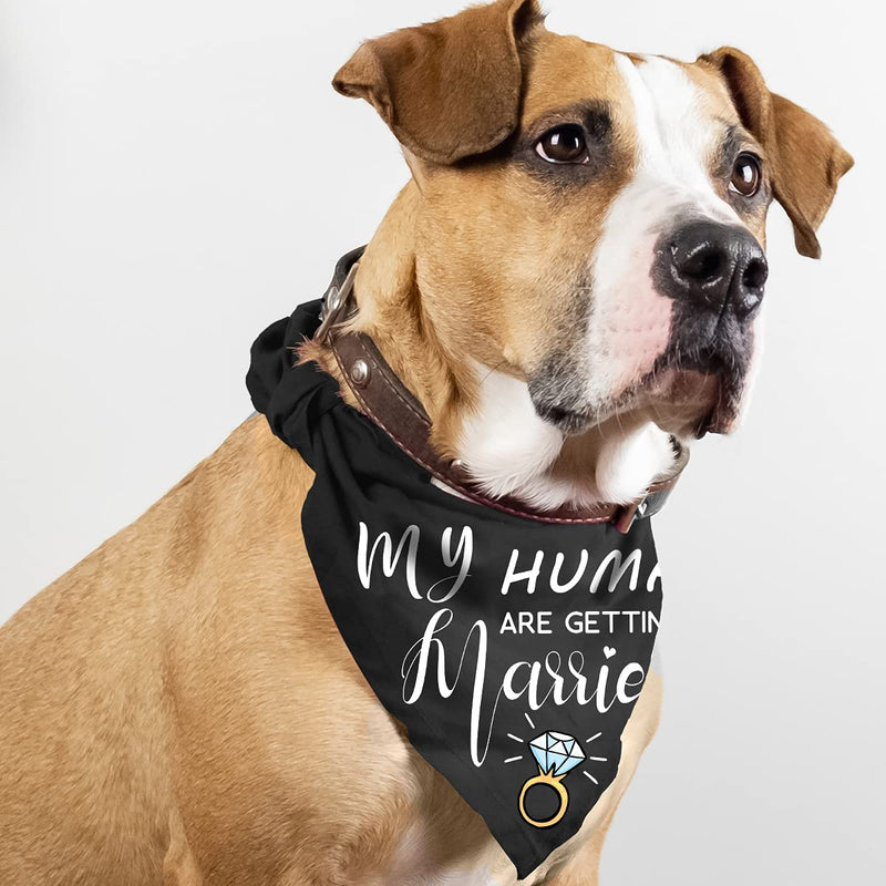 My Humans are Getting Married She Said Yes Dog Bandana, Wedding Engagement Photos, Pet Scarf Accessories,Pet Accessories for Dog Lovers, Bridal Shower Gift, Pack of 2 - PawsPlanet Australia