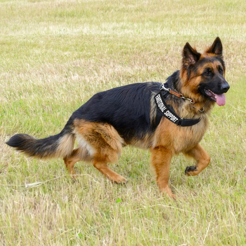 Cobee Dog Embroidered Tactical Patches for Dog Harness, 6pcs Dog Vest Removable Tactical Magic Sticker Patches for Service Dog Badges in Training - PawsPlanet Australia