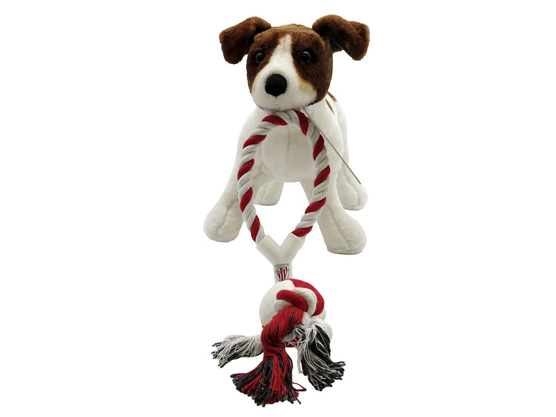 CYP BRANDS- Athletic Club Dog Toy with Ball (1) - PawsPlanet Australia