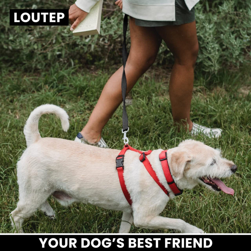 Loutep Training Lead for Dogs -10m (32ft) Black Durable Nylon Long Line Dog Lead with Padded Handle & Heavy - Duty Swivel Hook  Leash for Pet Obedience, Tracking & Camping Play - PawsPlanet Australia