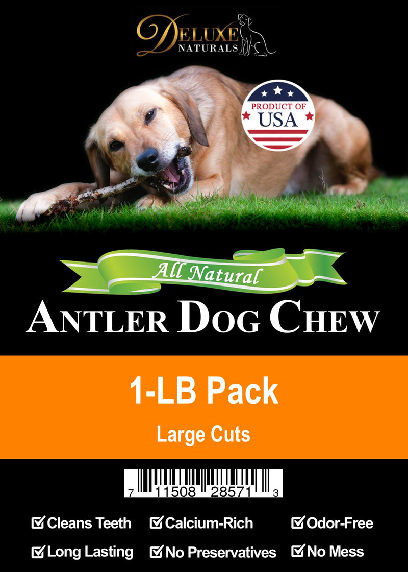[Australia] - Deluxe Naturals 1-LB Pack Antlers for Dogs, Grade A Premium Naturally Shed Elk Antlers for Dogs, Product of USA 1-Pound Large 