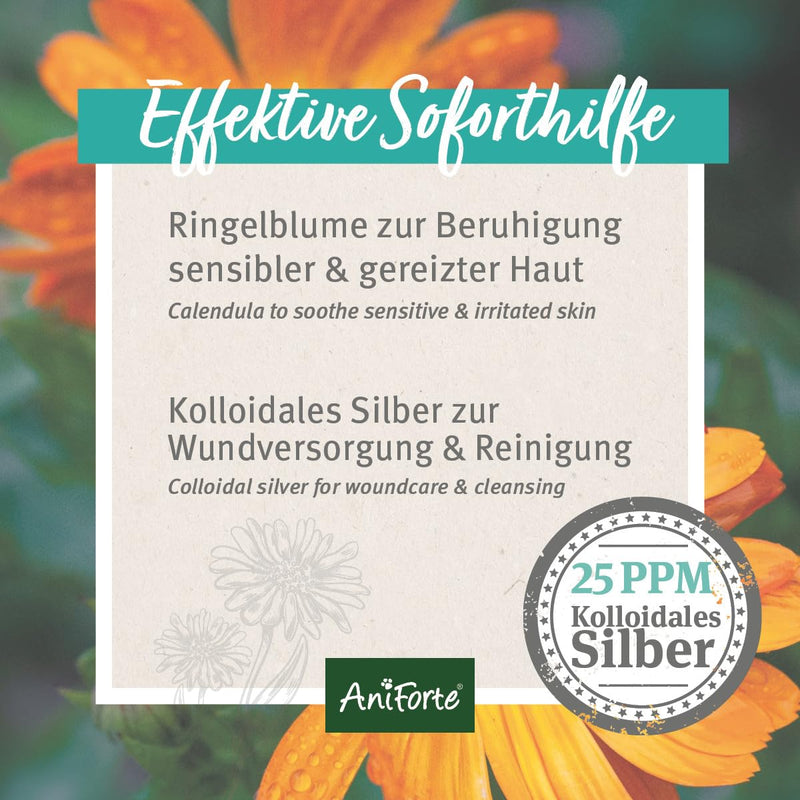 AniForte ear drops with colloidal silver 25ppm & marigold 50ml | For dogs, cats & small animals I For ear infections, itching I Ear care, ear hygiene, healthy ears - PawsPlanet Australia