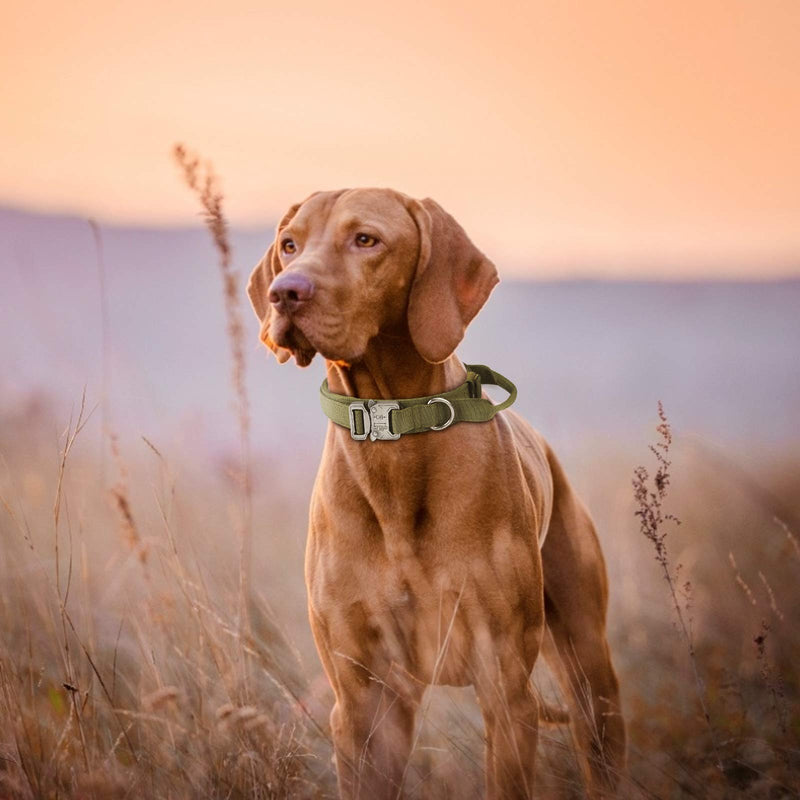 Tactical Dog Collar - Heavy Duty Dog Collars - 1.5" Width Adjustable Military Metal Buckle Collars with Control Handle for Dog Training M Size-Adjustable(14-18") - PawsPlanet Australia