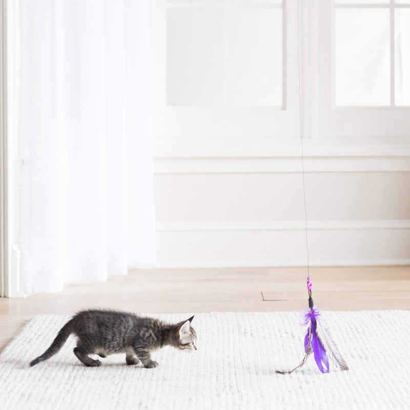 [Australia] - Jackson Galaxy AIR Wand With Feather Toy 