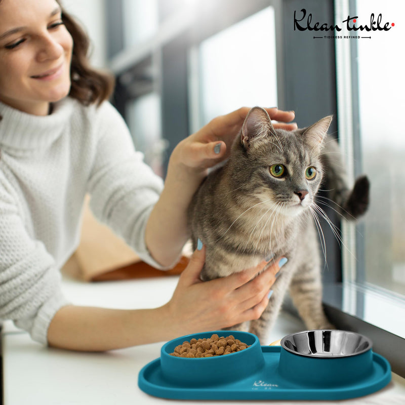 Pets Dog Bowl Set - Anti Skid Removable Double Slow Feeder Dog Bowls with Non Skid Silicone Mat - Stainless Steel Dog Water Bowl for Cats & Pets –A Beautiful Dirty Blue Color - PawsPlanet Australia