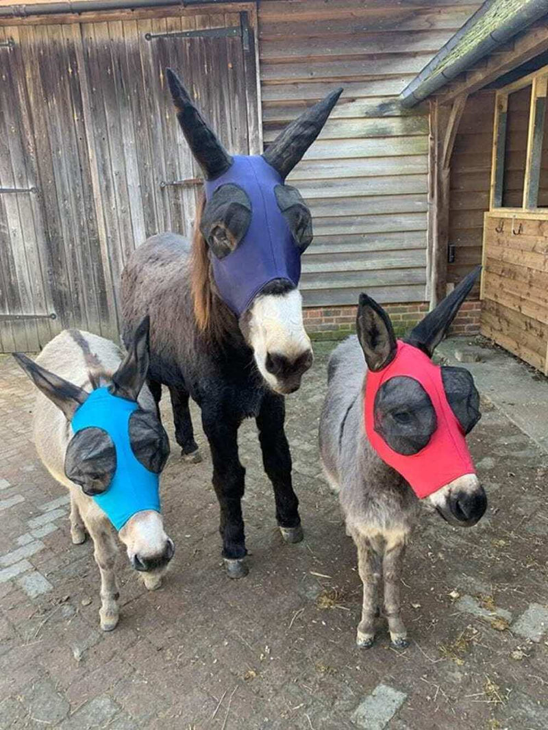 Ruggles Donkey Pull On Fly Mask With Ears (S - XL) (S, Aqua) S - PawsPlanet Australia