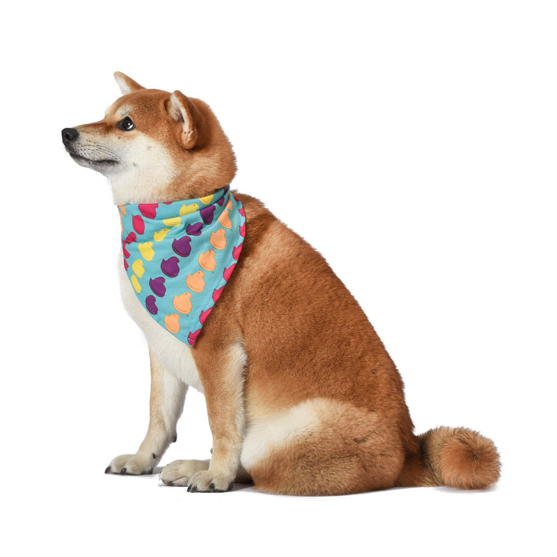 Peeps for Pets Chick Rainbow Print Dog Bandana, Medium/Large | Large Dog Bandana Officially Licensed Pet Product | Cute, Soft, Machine Washable Dog Apparel & Accessories for All Dogs (FF10309) - PawsPlanet Australia