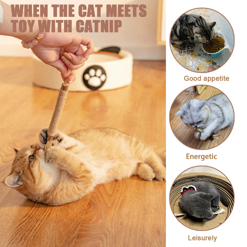 Tsathoggua catnip sticks, 4 pieces catnip toys, interactive cat toy, cat toy, cat toy for removing tartar, refreshing breath, organic interaction cat grass - PawsPlanet Australia