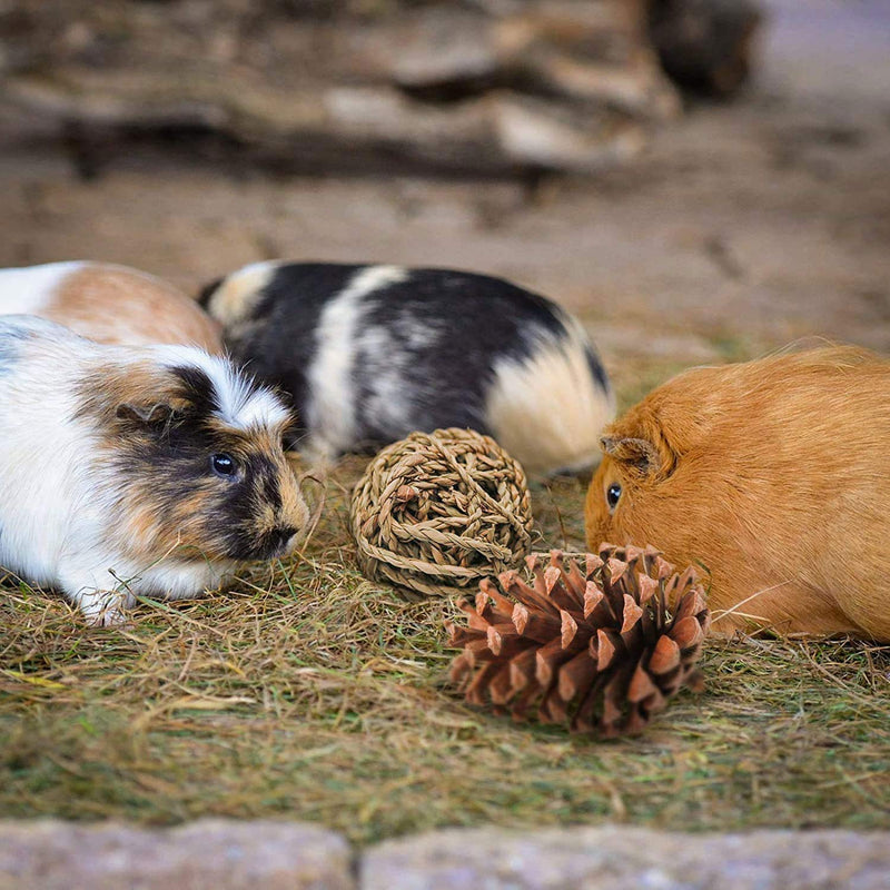 12Pcs Rabbit Toys Bunny Chew Toys Guinea Pigs Small Animals Teeth Toy Natural Grass Rattan Carrot Corn Sticks Pet Toy Set for Rabbits Hamster Gerbils Squirrels Chewing Improve Dental Health - PawsPlanet Australia