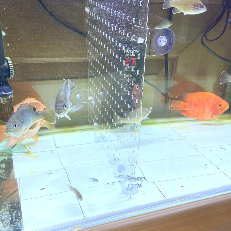 Alfie Pet - Jacqueline 2-Piece Set Aquarium Trimmable Fish Tank Divider Isolation Board (Suction Cup Included) - PawsPlanet Australia