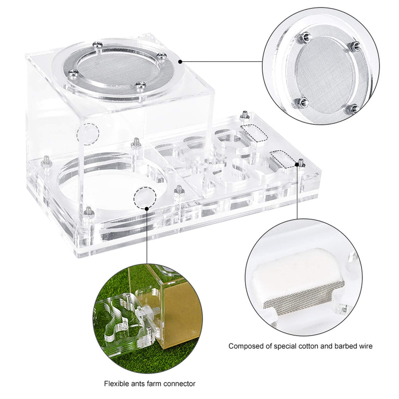 Furpaw Ant Farm, Ant Nest Formicarium to Observe Live Ant Habitat Transparent Acrylic Ant Housing Nest Box, Ants House for Feeding Ants - PawsPlanet Australia