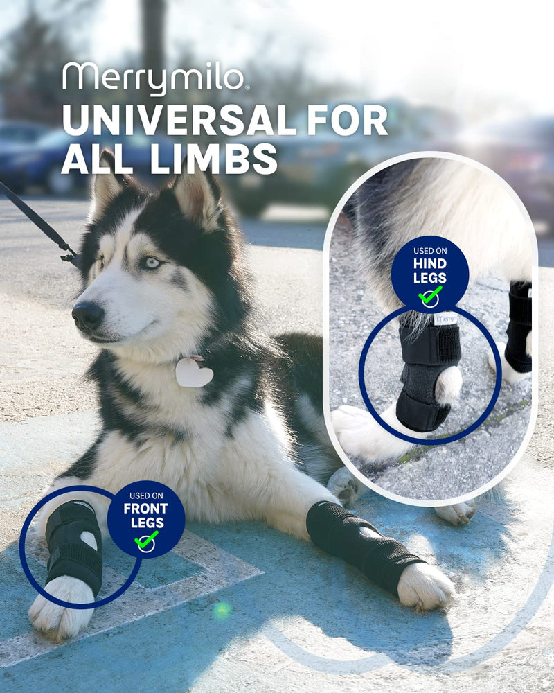 MerryMilo Dog Leg Brace for Rear Hock & Ankle, Canine Hind Leg Joint Compression Wrap for Torn ACL & CCL, Injury and Sprain Protection, Wound Care and Loss of Stability from Arthritis 1 Pair (Size: M) Medium - PawsPlanet Australia