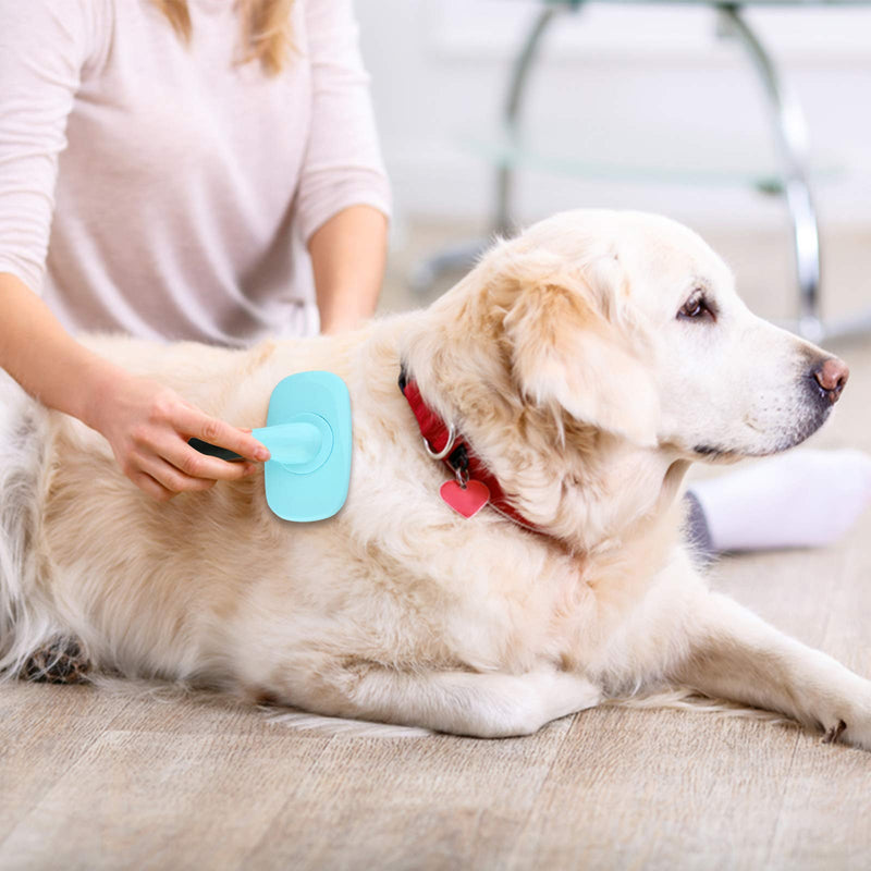 Makerfire Slicker Brush Large, 360 Degree Rotation Flexible Slicker Brush for Long Haired Dog, Pet Dog Cat Slicker Brush, Pet Teezer Brush (Large, Blue) - PawsPlanet Australia