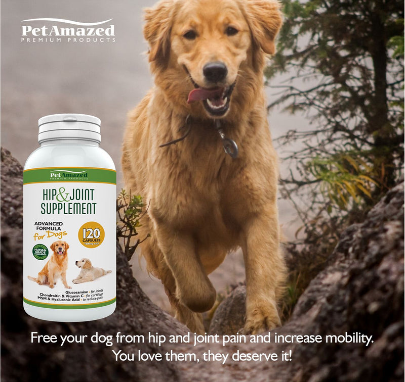 PetAmazed Advanced Hip & Joint Supplement for Dogs 120 capsules, Natural Pain Relief: Glucosamine, Chondroitin, MSM, Vit C & Hyaluronic Acid UK made, reduce Stiff Joints, Hip Dysplasia, more Mobility - PawsPlanet Australia