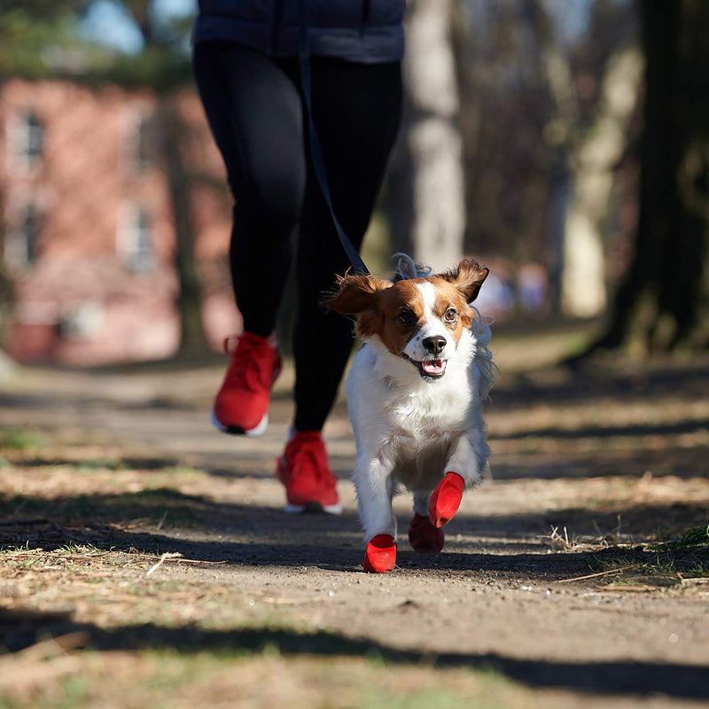 [Australia] - Pawz Dog Boots | Dog Paw Protection with Dog Rubber Booties | Dog Booties for Winter, Rain and Pavement Heat | Waterproof Dog Shoes for Clean Paws | Paw Friction for Dogs | Dog Shoes (Red) (S) 