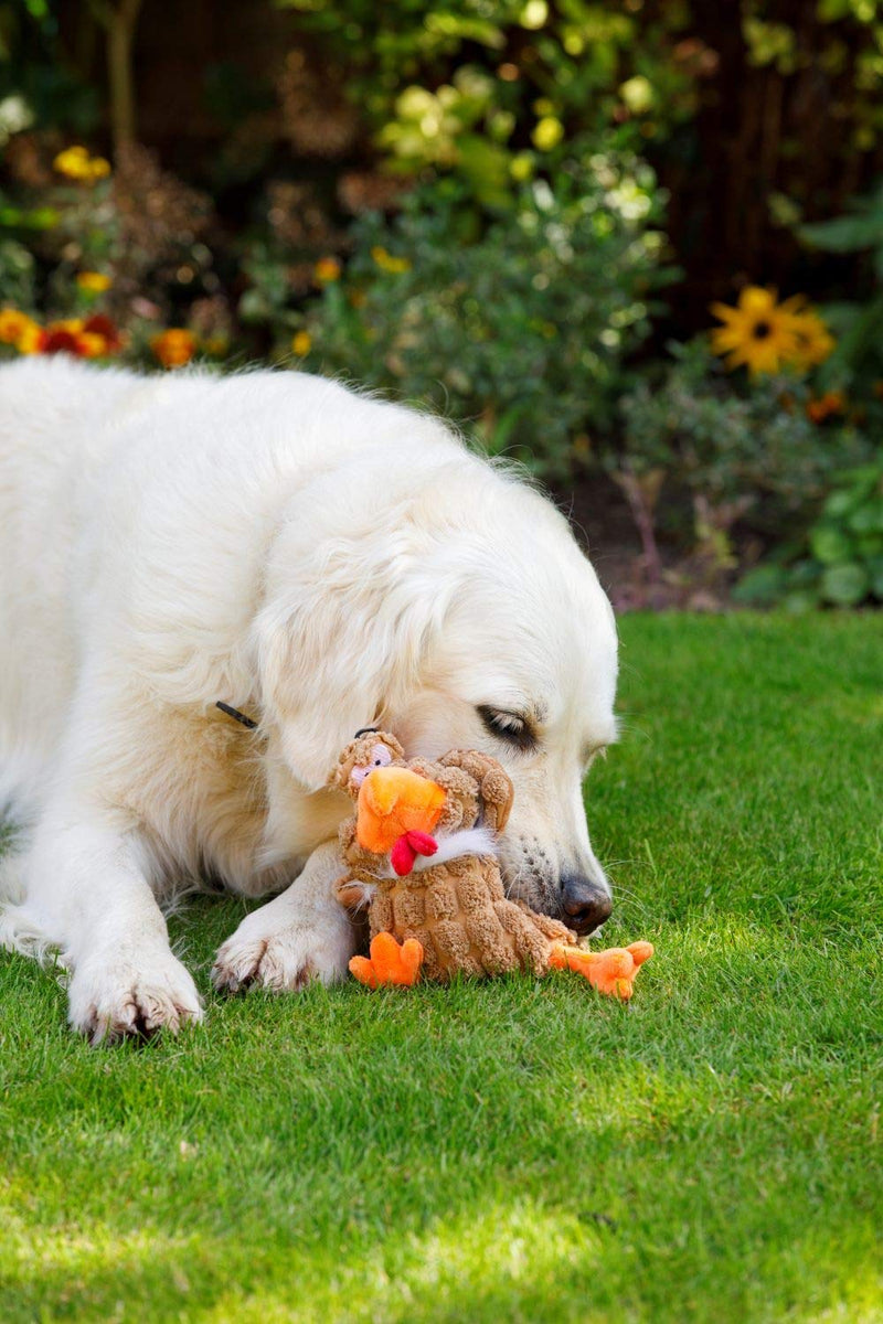 Petface Farmyard Buddies Chunky Chicken Dog Toy - PawsPlanet Australia