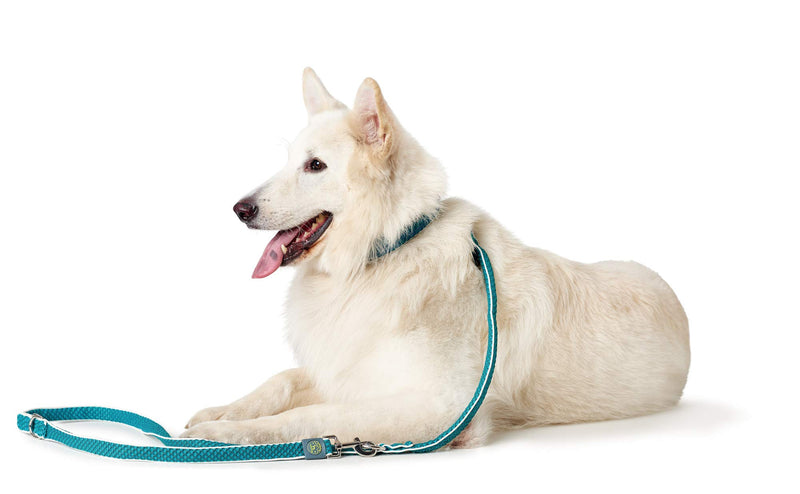 HUNTER HILO Adjustable Dog Lead with Lightweight Mesh Material, 2.5 x 200 cm, Turquoise 2,5 x 200 cm - PawsPlanet Australia