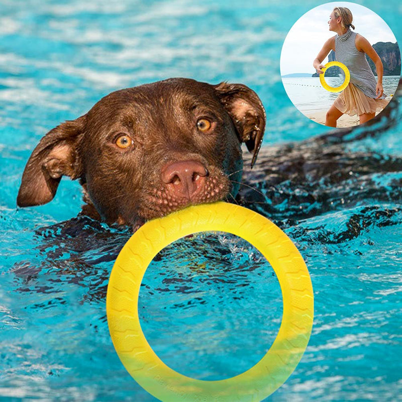 6 PCS Puppy Dog Chew Toys, Strong Dog Toys for Tough Chewers, Dog Chew Rope Toys from 8 Weeks Dog Gift Sets, Dogs Treats Toys for Small and Medium Dog (Flying Ring Toys-3PCS) Flying Ring Toys-3PCS - PawsPlanet Australia