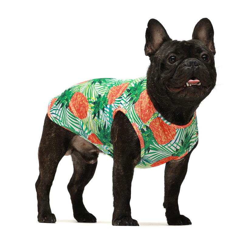 Fitwarm Hawaiian Dog Shirts Tropical Pineapple Doggie T-Shirts Puppy Tee Top Aloha Vest Pet Clothes Green XS - PawsPlanet Australia