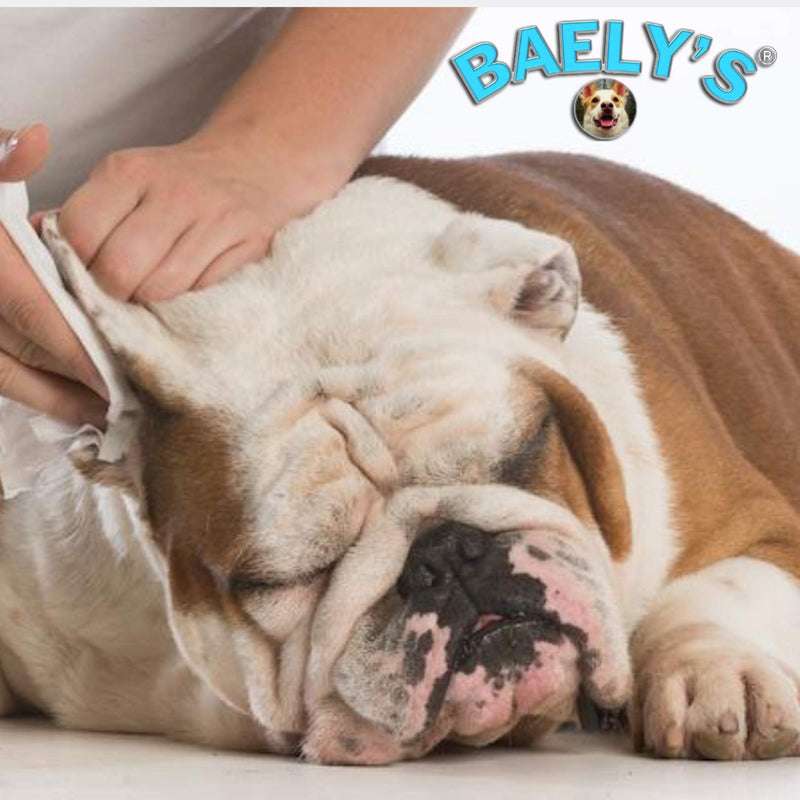 Baely's Paw Shield Dog Ear Cleaner Wash Solution | Alcohol-Free & Gentle for Pain-Free Cleaning | Good Ear Hygiene Prevents Yeast, Fungus & Odor – Prevent Ear Infections, Wax & Itching… - PawsPlanet Australia