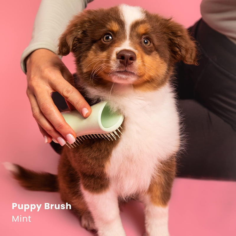 Tangle Teezer | Pet Teezer | Puppy Grooming Brush | Dry Brush or Dog Bath Brush | Mint - PawsPlanet Australia