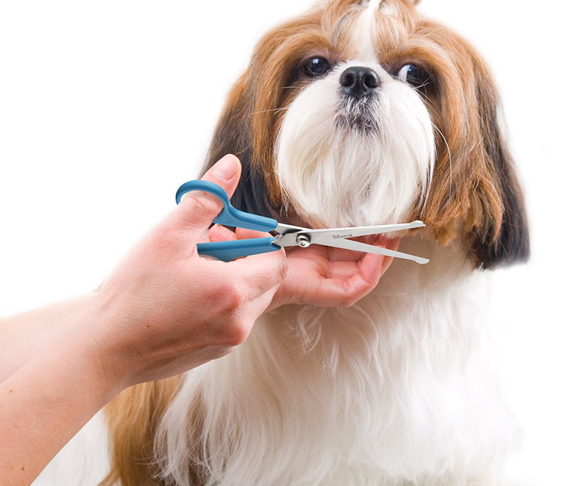 Boshel Dog Grooming Scissors Set of 2 Pet Grooming Scissors - Safety Rounded Tips - Micro-serrated Smaller Scissor for Face, Ear, Nose & Paw + Larger, Sharp Scissor for Dog & Cat Body Trimming - PawsPlanet Australia