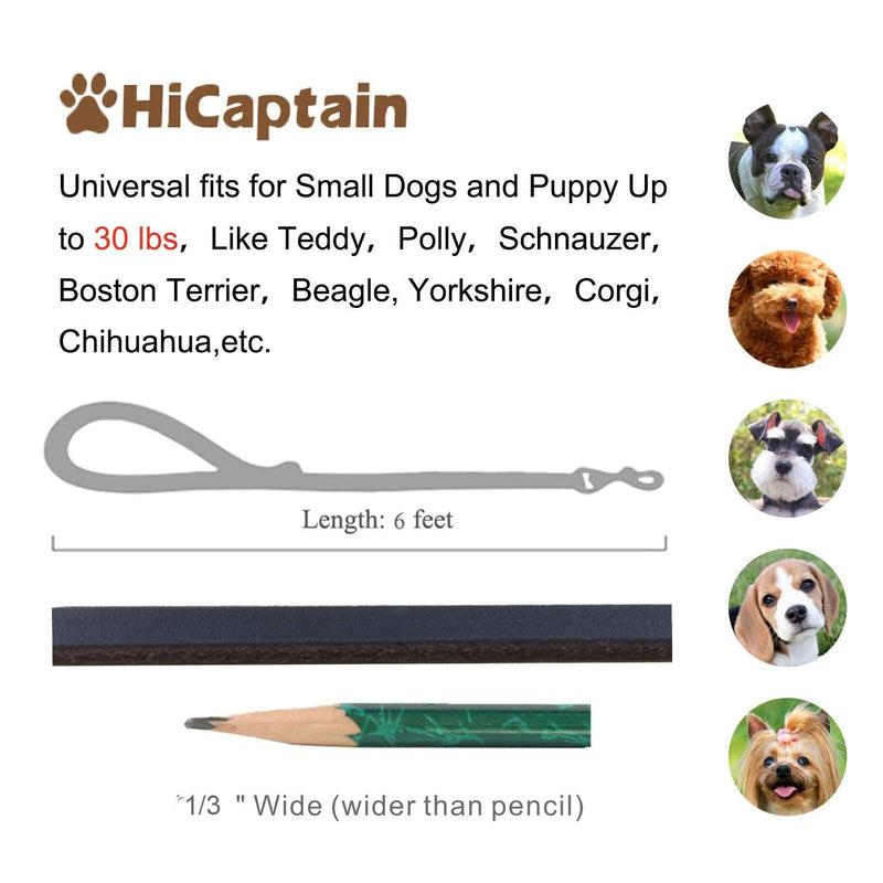 HiCaptain Thin Leather Dog Leash for Small Dogs Up to 15 lb (1/3 inch Wide, 6 Ft) Regular 1/3 inch Wide, 6 Feet - PawsPlanet Australia