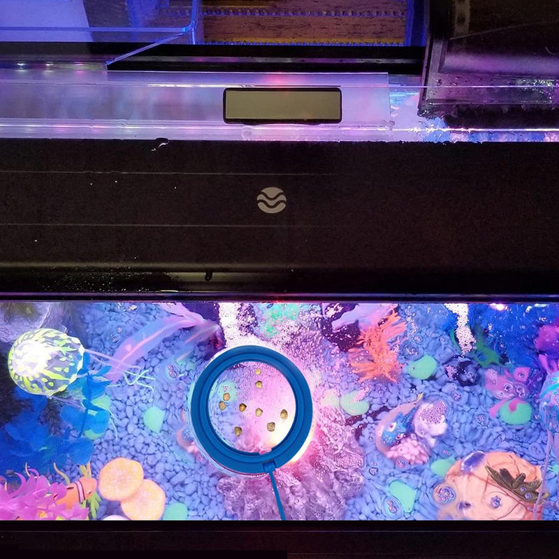 1 Pcs Fish Feeding Ring Floating Food Feeder Circle with Suction Cup Easy to Install Aquarium Round - PawsPlanet Australia