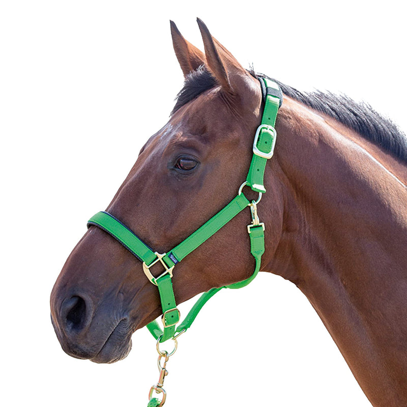 Topaz Nylon Head Collar Red Small Pony - PawsPlanet Australia