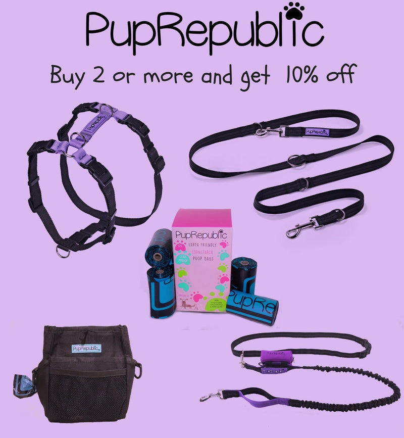 PupRepublic Multifunction Double Ended Lead for Dogs - For Training, Close Control and Walking Two Dogs - PawsPlanet Australia