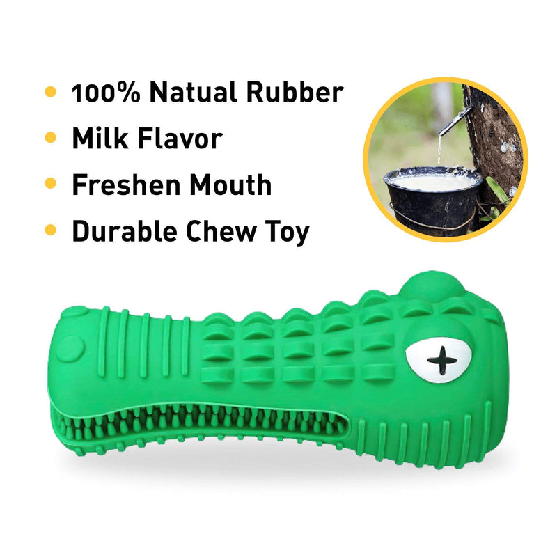 Silverwing Dog Chew Toys Indestructible Tough Squeaky Toothbrush Toy Dog Dental Teeth Cleaning Chew Dog Toys For Aggressive Breed Chewers Large Medium Dogs Clean Brush - PawsPlanet Australia