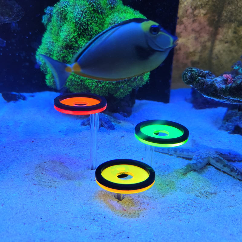Coral Frag Rack Fluorescent Coral Frag Plug Sand Holder Marine Reef Aquarium Spare Parts Cultivating Live Coral - PawsPlanet Australia