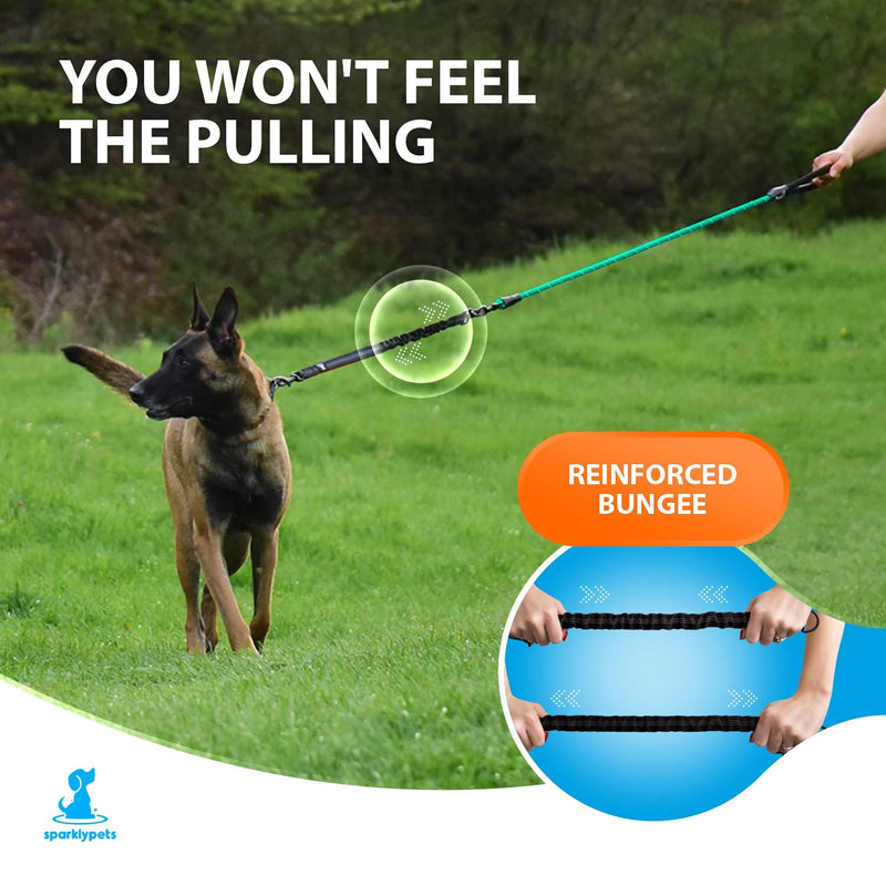Dog leash with bungee extension for large and medium-sized dogs with shock absorber | Reflective Elastic Dog Leash for Walking (Teal, For ONE Dog) Teal - PawsPlanet Australia