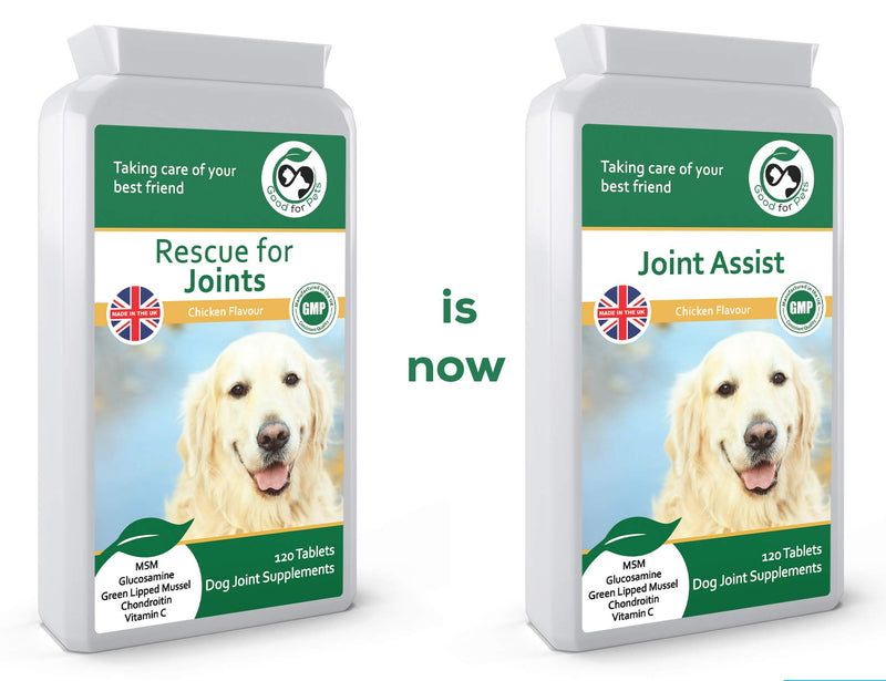 JOINT ASSIST ~ Joint Supplements For Dogs ~ Contains A Powerful Blend Of Natural Glucosamine for Dogs, Green Lipped Mussel & MSM ~ Aids Stiff Joints & Supports Joint Health In Older Dogs. 120 - PawsPlanet Australia