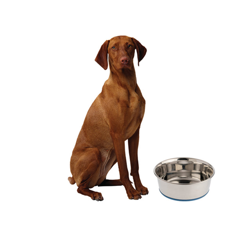 [Australia] - OurPets Premium DuraPet Dog Bowl 1.25qt 