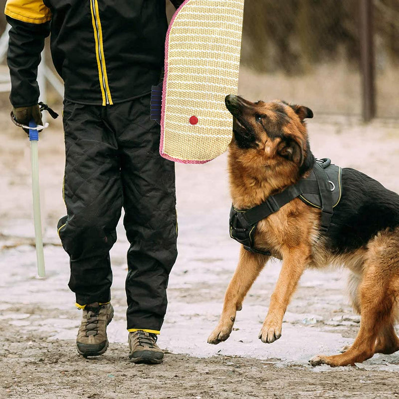 Dog Bite Sleeve Dog Bite Training Arm Guard Protection Cover with Handle Jute Material Training Equipment Fit Both Arms Left and Right Hand (Purple) Purple - PawsPlanet Australia