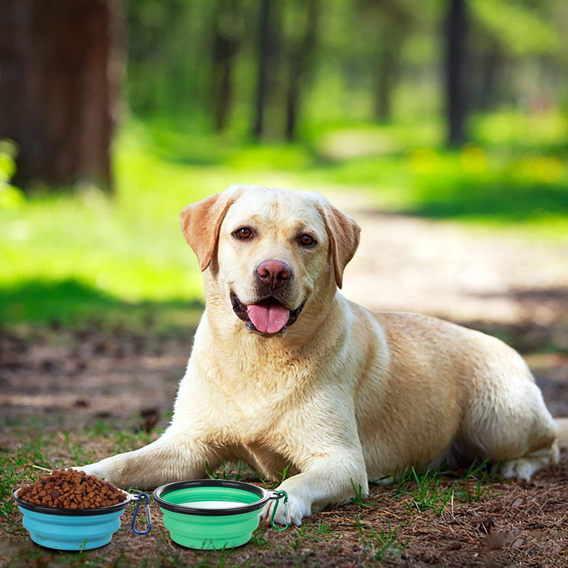 SLSON Collapsible Dog Bowls with Cover Lids,2 Pack Dog Travel Bowls Portable Foldable Cat Water Dish Bowl for Pets Walking Parking Camping,Light Blue and Green - PawsPlanet Australia
