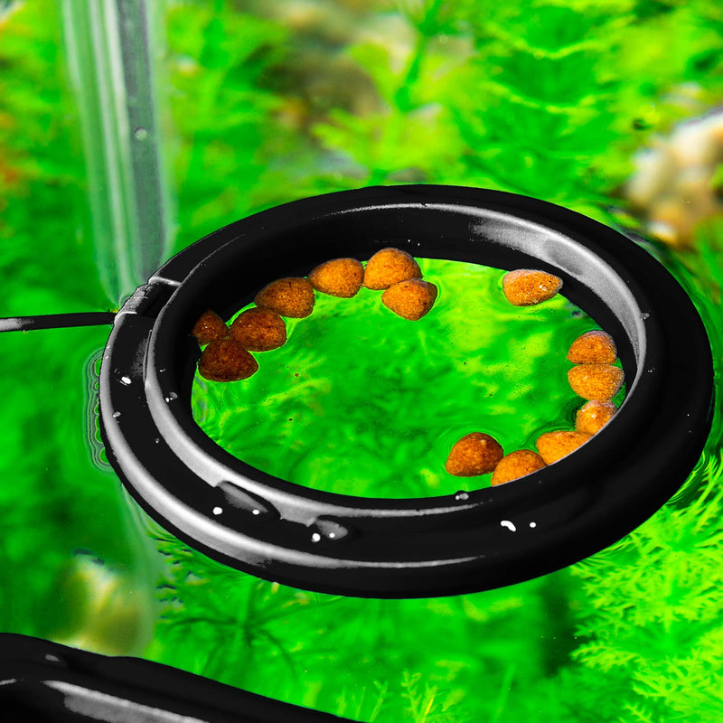 Betta Feeding Ring,Aquarium Fish Feeding Ring Floating Food Feeder with Suction Cup Reduces Wastage and Maintains Water Quality,Round Shape - PawsPlanet Australia