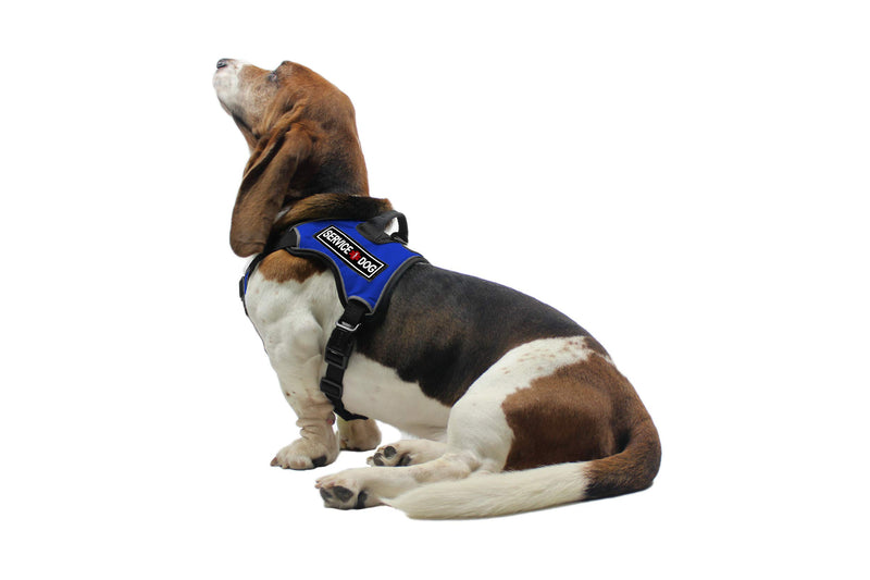 [Australia] - Dogline Quest No-Pull Dog Harness with 3D Rubber Service Dog Removable Patches Reflective Soft Comfortable Dog Vest with Quick Release Dual Buckles Black Hardware and Handle Girth 25" to 31" Blue 