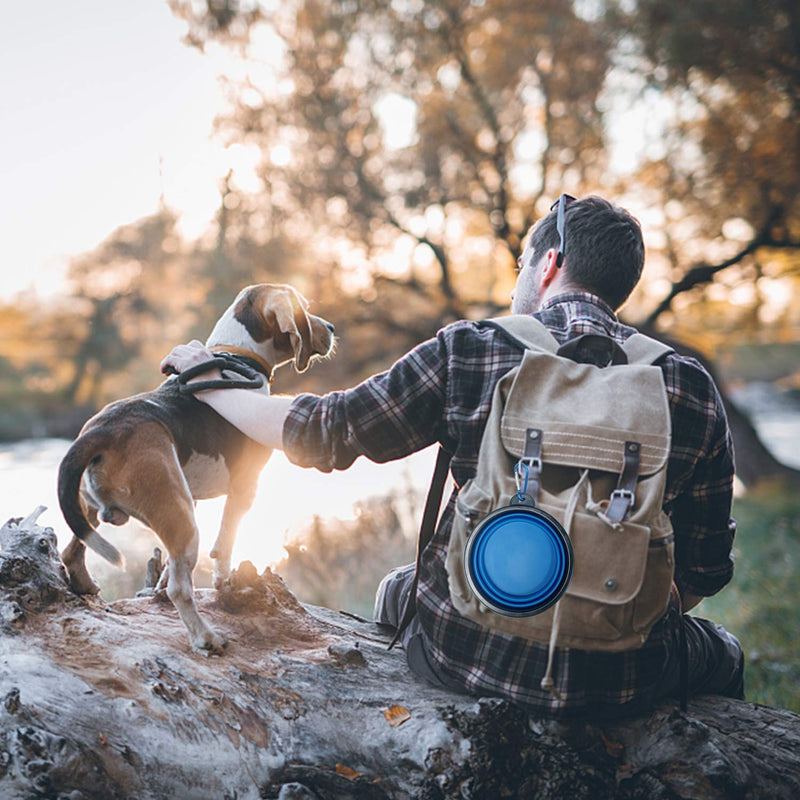 TOGETOP 2pcs Travel Bowls collapsible Dog Bowl pet food Water Bowl Small Medium Puppy Dog Cat Animal Food Silicone Portable Foldable Expandable Feeding Cup Dish Hiking Camping Carabiner (Blue+Orange) Blue+orange - PawsPlanet Australia