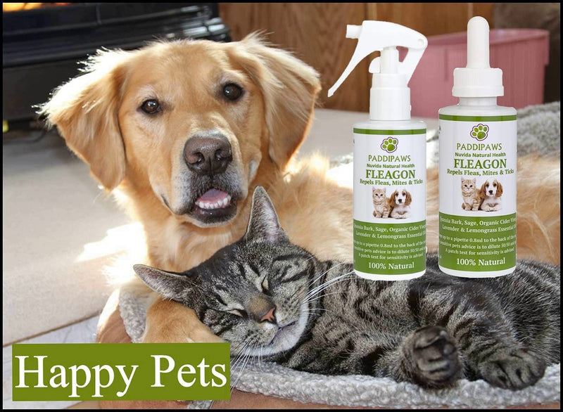 100% Natural Flea Spray - Flea Away Prevention Treatment for Dogs and Cats - Safe Natural Flea Remedy - Control of Fleas, Mites, Mosquitoes - Aids Tick Control - Mange - Paraben and SLS free (250ml) - PawsPlanet Australia