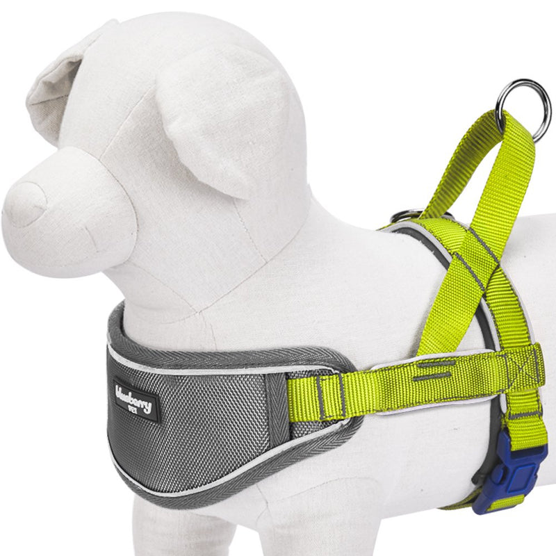 [Australia] - Blueberry Pet 8 Colors Soft & Comfortable 3M Reflective Strips Nylon Neoprene Padded Training Dog Harness (24.5" - 29.5") Chest Girth Citrus Lime 