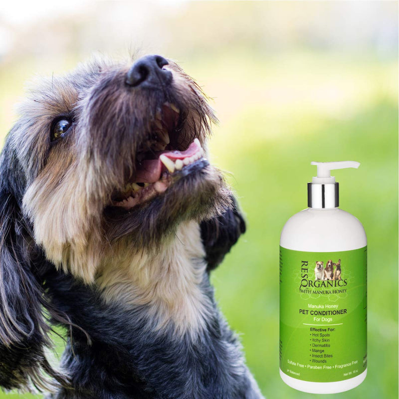 [Australia] - Dog Shampoo for Allergies and Itching - Hypoallergenic Manuka Honey Healing Pet Shampoo for Dogs with Sensitive, Dry Itchy Skin, Shedding Issues, and Mange. Natural and Organic! 