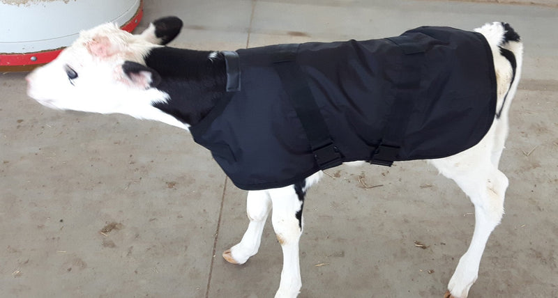 [Australia] - Vet Therapy 107485 26" Neck to Tail for Jersey Calves Therapeutic Fir Fleece Calf Coat, Small 