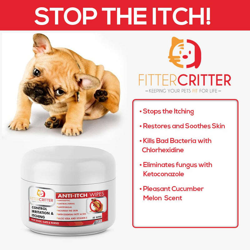 Fitter Critter Aloe Dog Ear Wipes with Cleaning Ketoconazole - for Infections and Controlling Yeast, Mites, and Odor in Pets Ears - Medicated Pet Wipes with Anti-Itch Formula for Dogs & Cats - PawsPlanet Australia