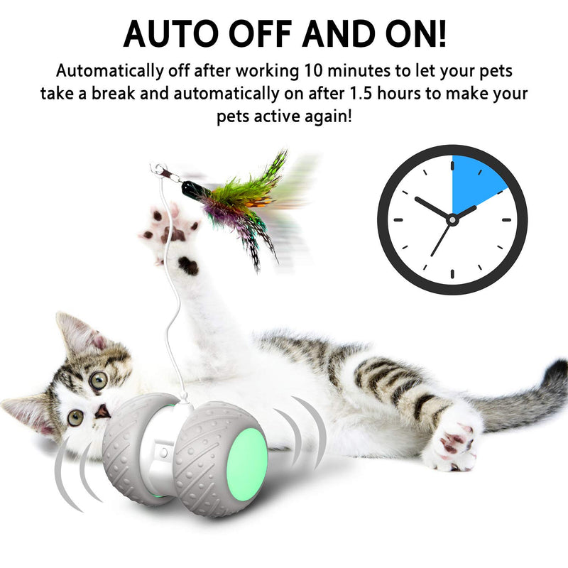 HOFIT Interactive Cat Toys For Indoor Cats, Irregularly Move Cat Ball Toys For Kitten/Cats, Robotic Cat Toy with Led Light/Feathers/Ribbon/Mouse Toys, Floors/Carpet Available, USB Charging - PawsPlanet Australia