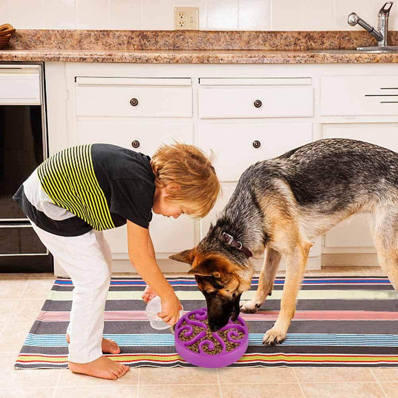 SUOXU Slow Feeder Dog Bowl, Medium Dog Food Bowls Labyrinth Interactive Puzzle Bowls, Slow Food, Bloat Stop, Anti-Swallowing, Extend Eating Time,Prevent Various Diseases Caused by Eating too Fast purple - PawsPlanet Australia