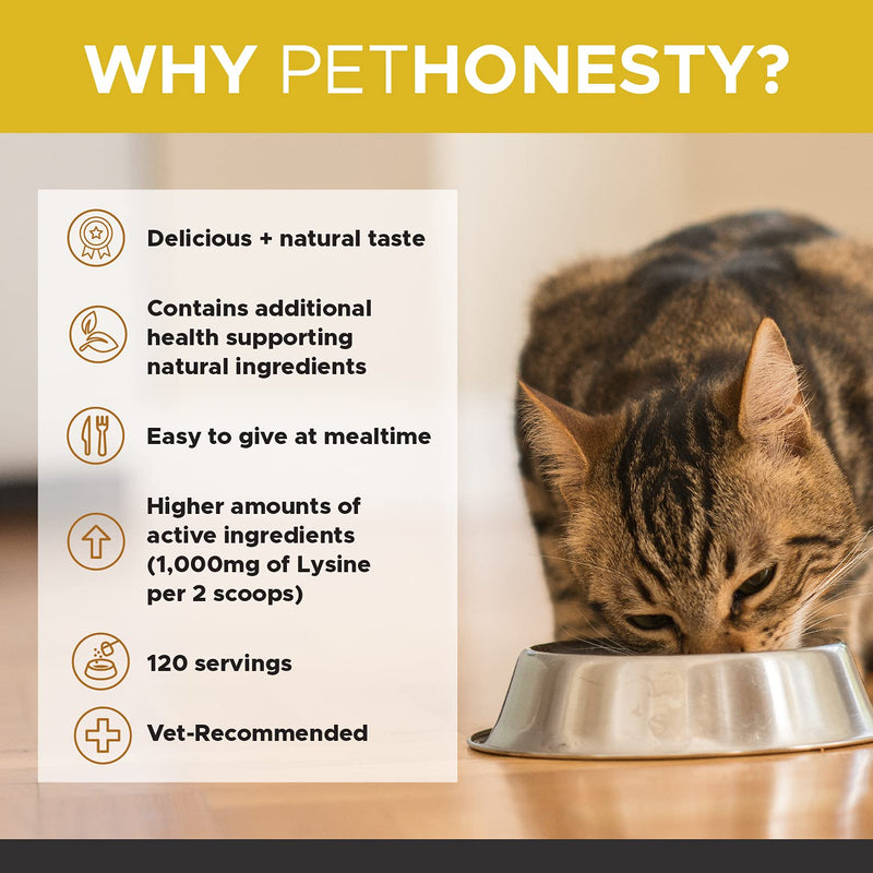 PetHonesty Lysine Immune Health+ Supplement Powder for Cats - Immune Health, Cat Allergy Relief - Sneezing, Runny Nose, Watery Eyes - Cats & Kittens of All Ages - Omega 3s, L-Lysine - Chicken & Fish - PawsPlanet Australia