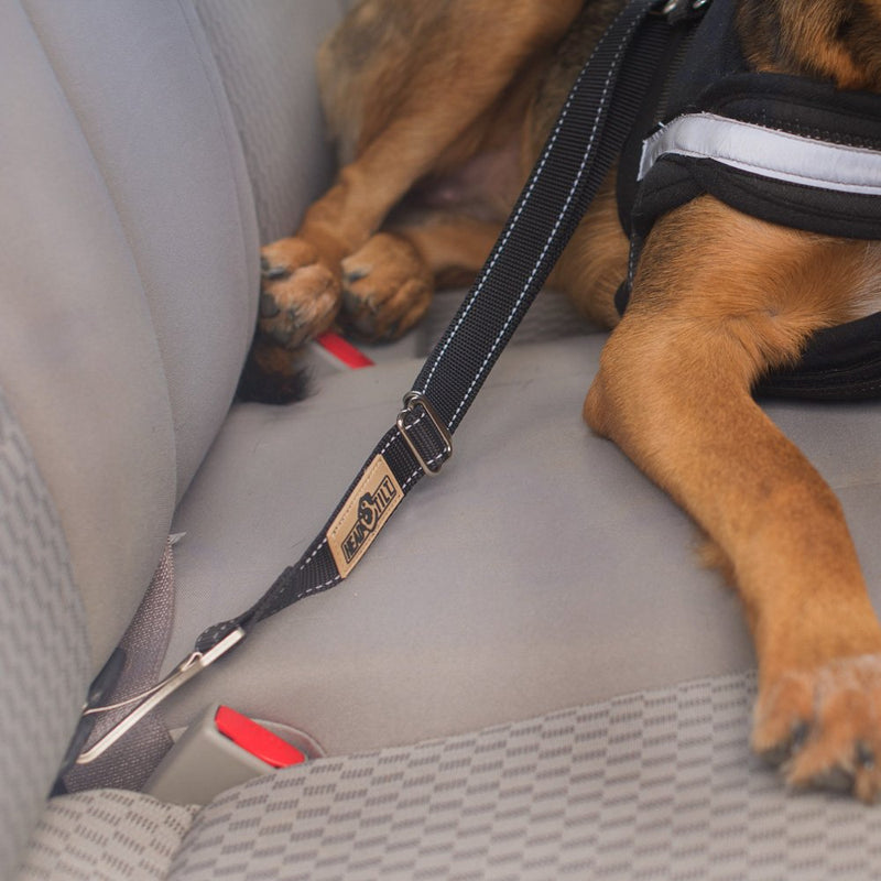 [Australia] - Head Tilt Seat Belt Leash, Black, 15 to 24 inches 